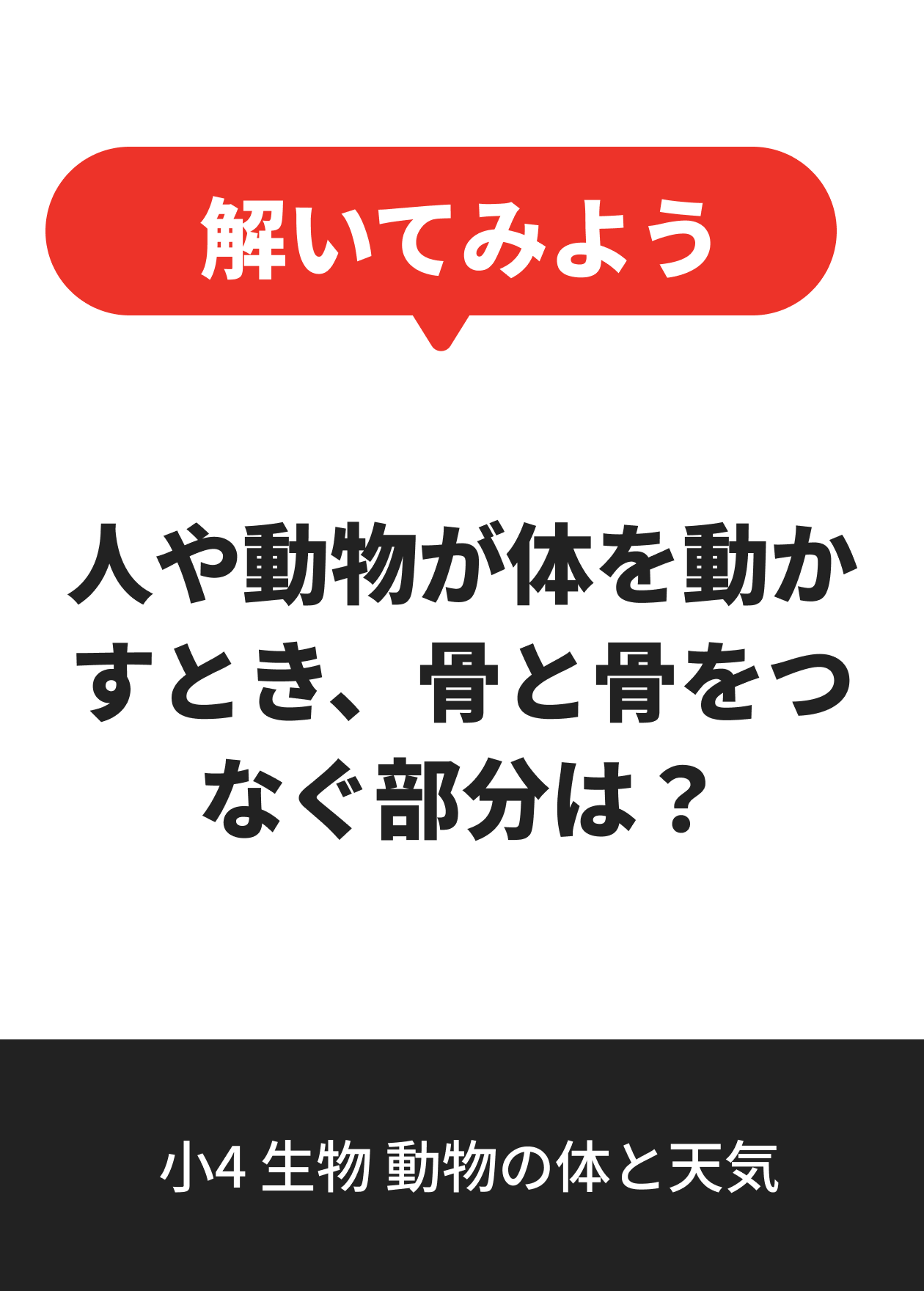 小4 生物 動物の体と天気