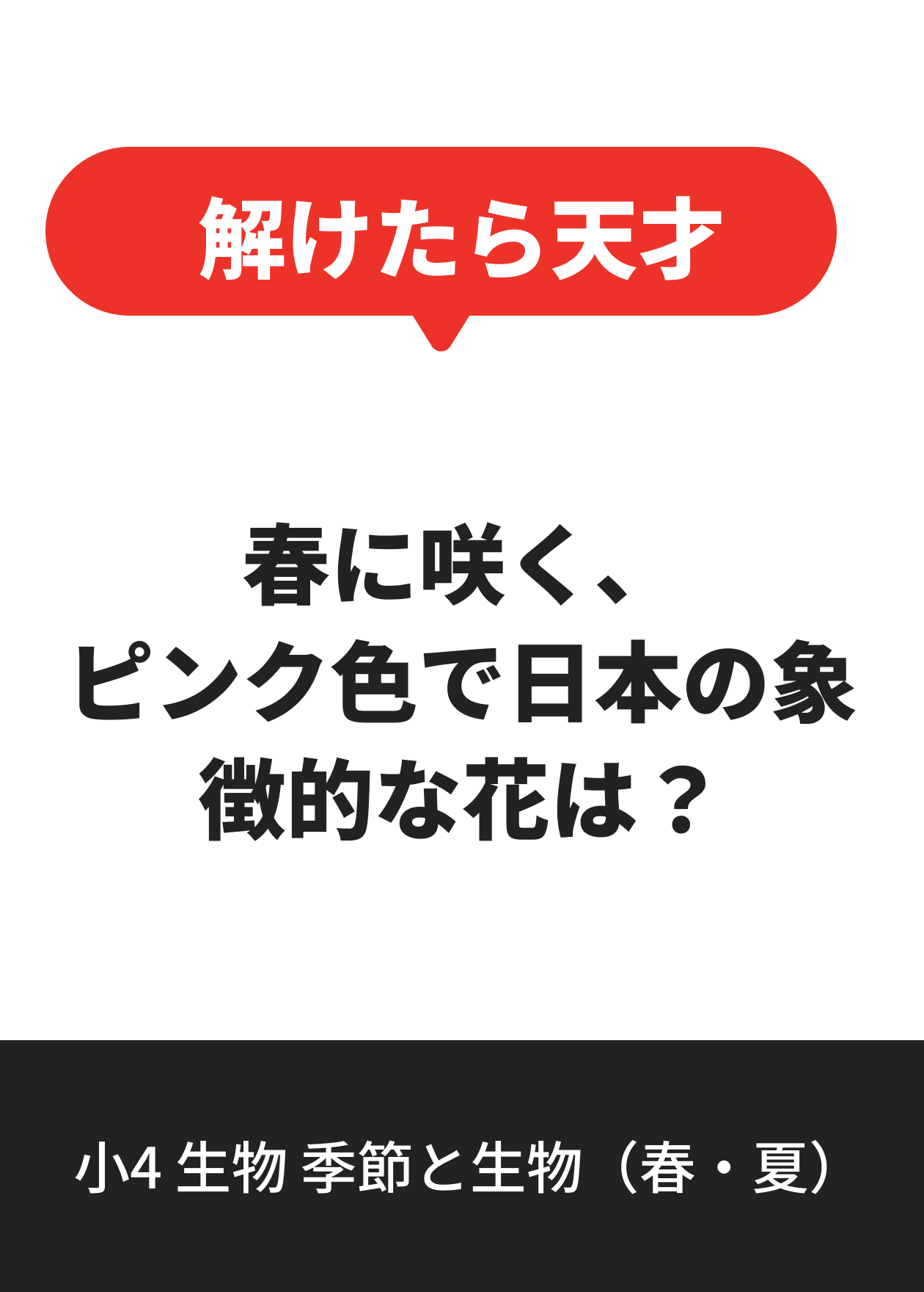 小4 生物 季節と生物（春・夏）