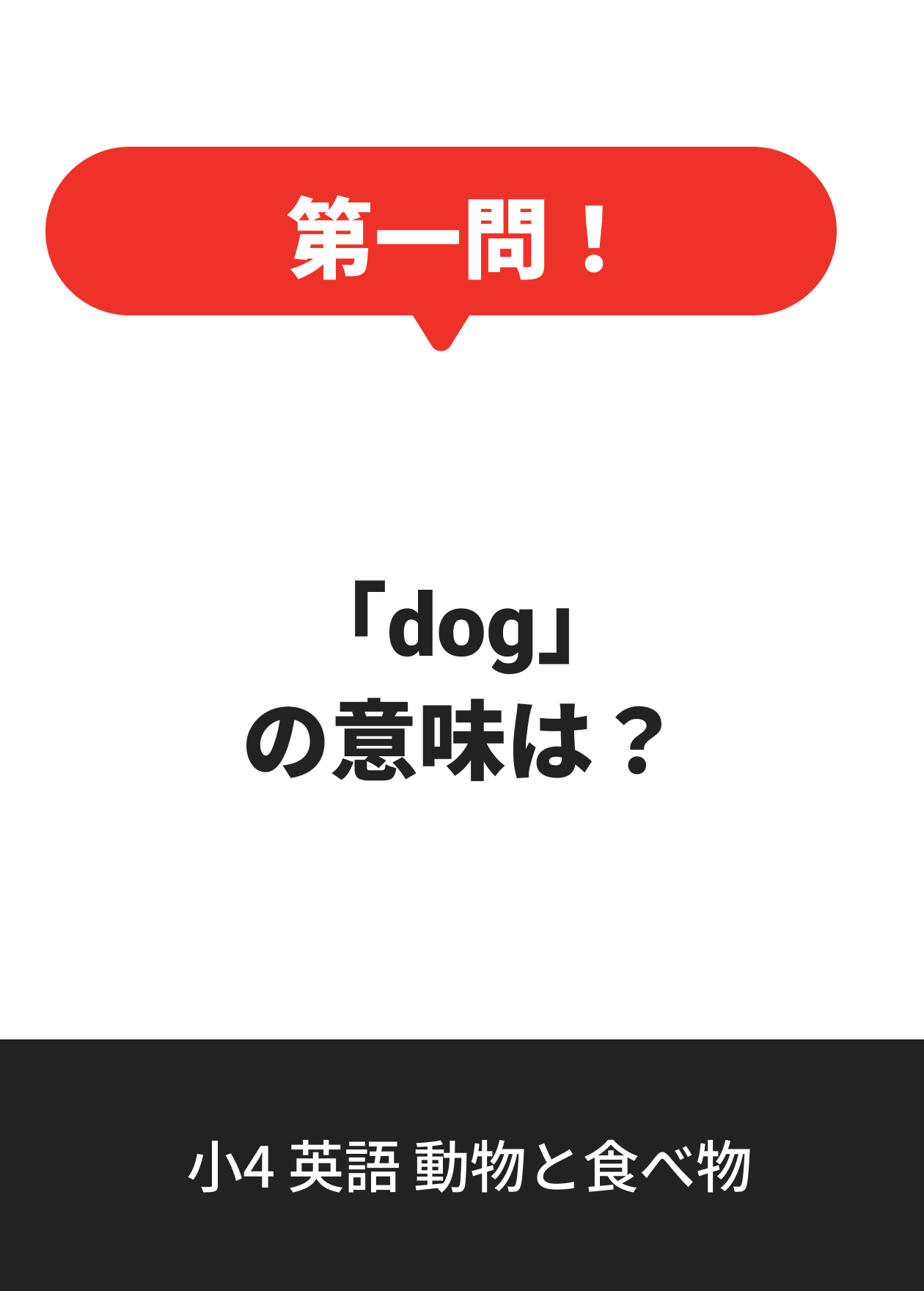 小4 英語 動物と食べ物