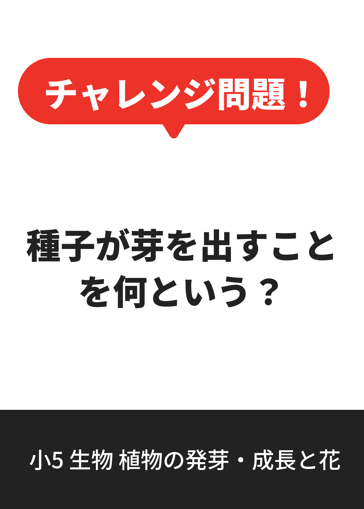 小5 生物 植物の発芽・成長と花