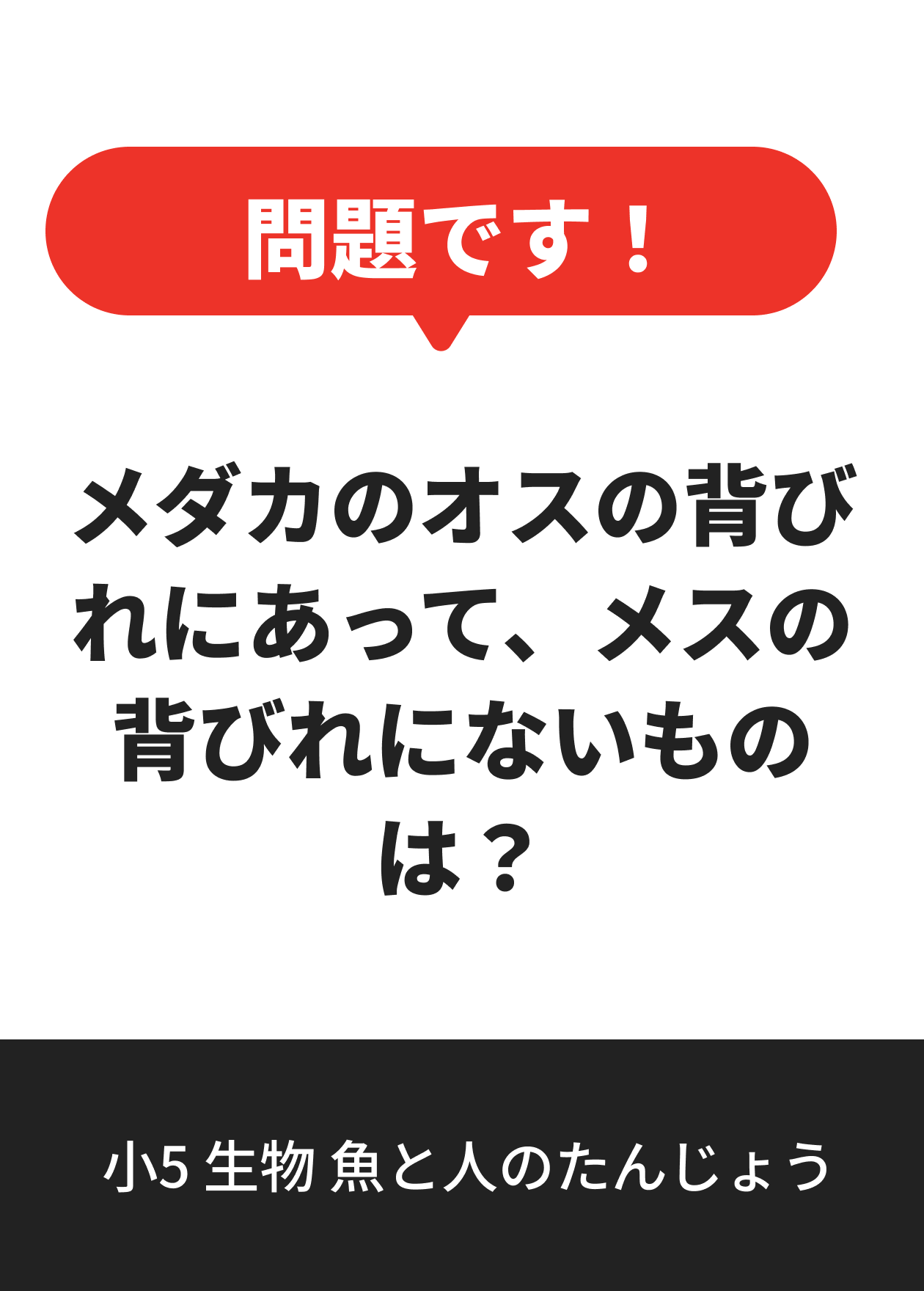小5 生物 魚と人のたんじょう