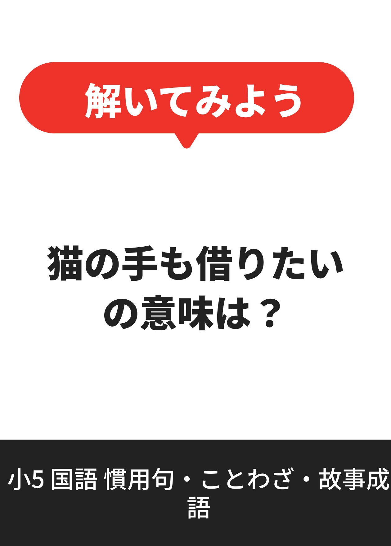小5 国語 慣用句・ことわざ・故事成語