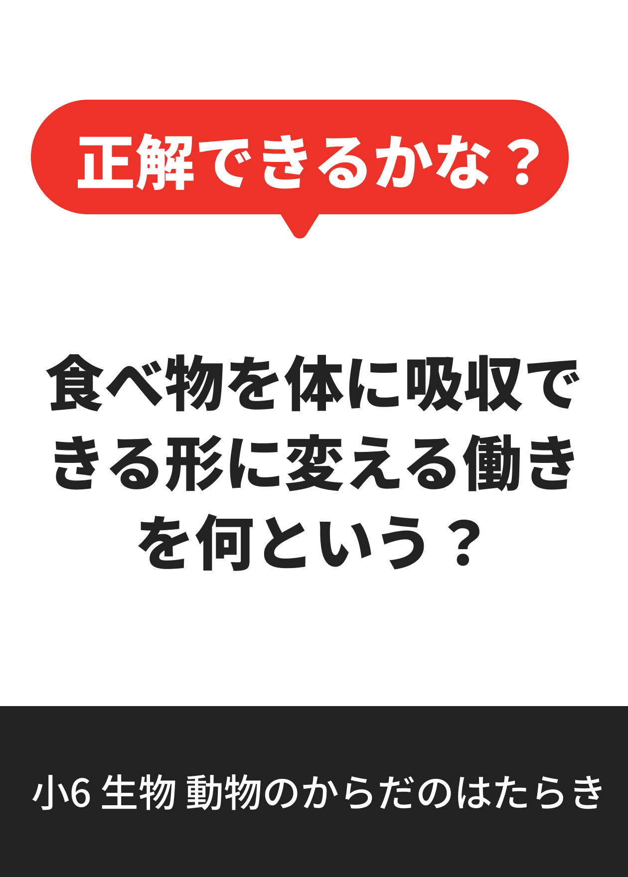 小6 生物 動物のからだのはたらき