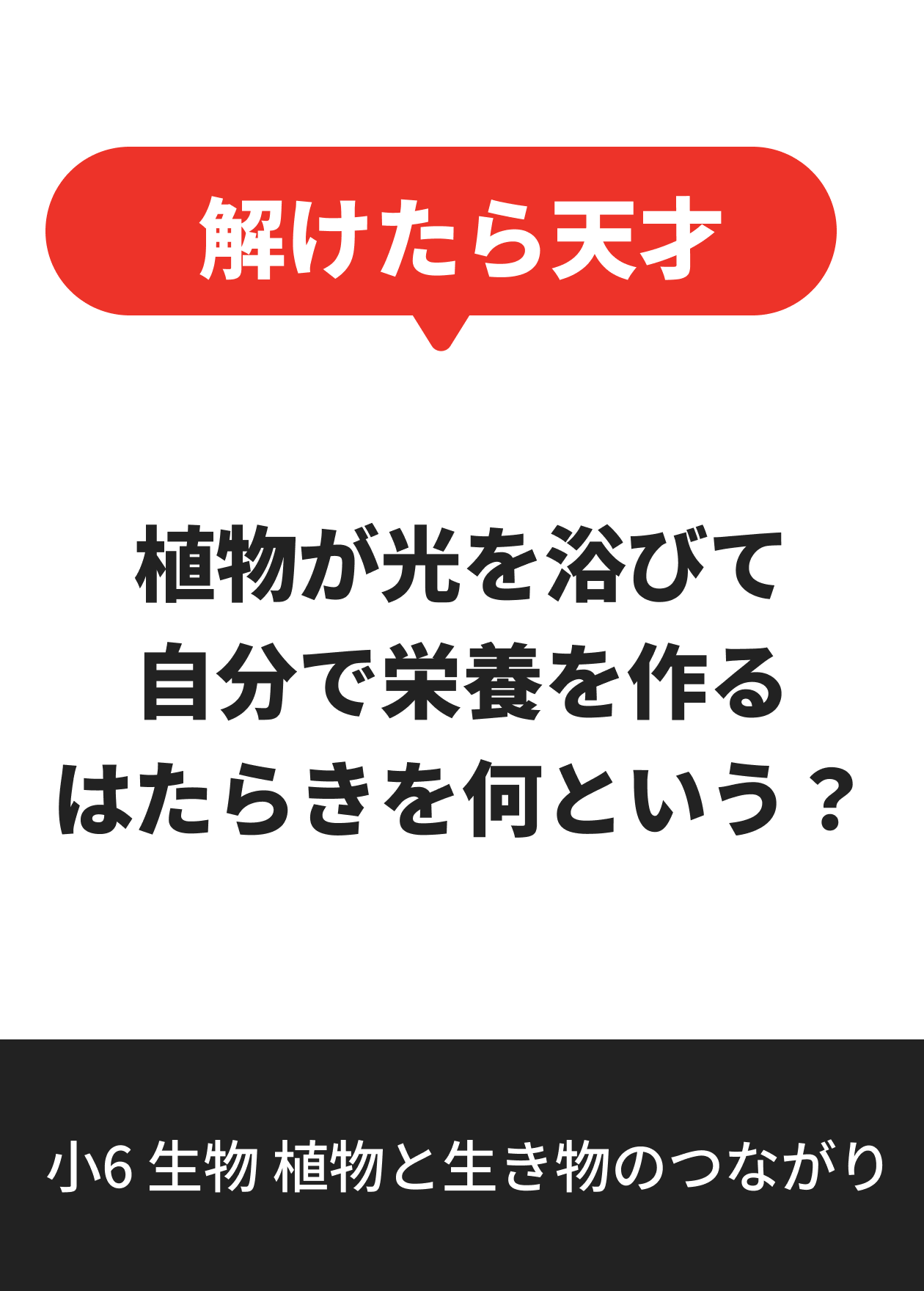 小6 生物 植物と生き物のつながり