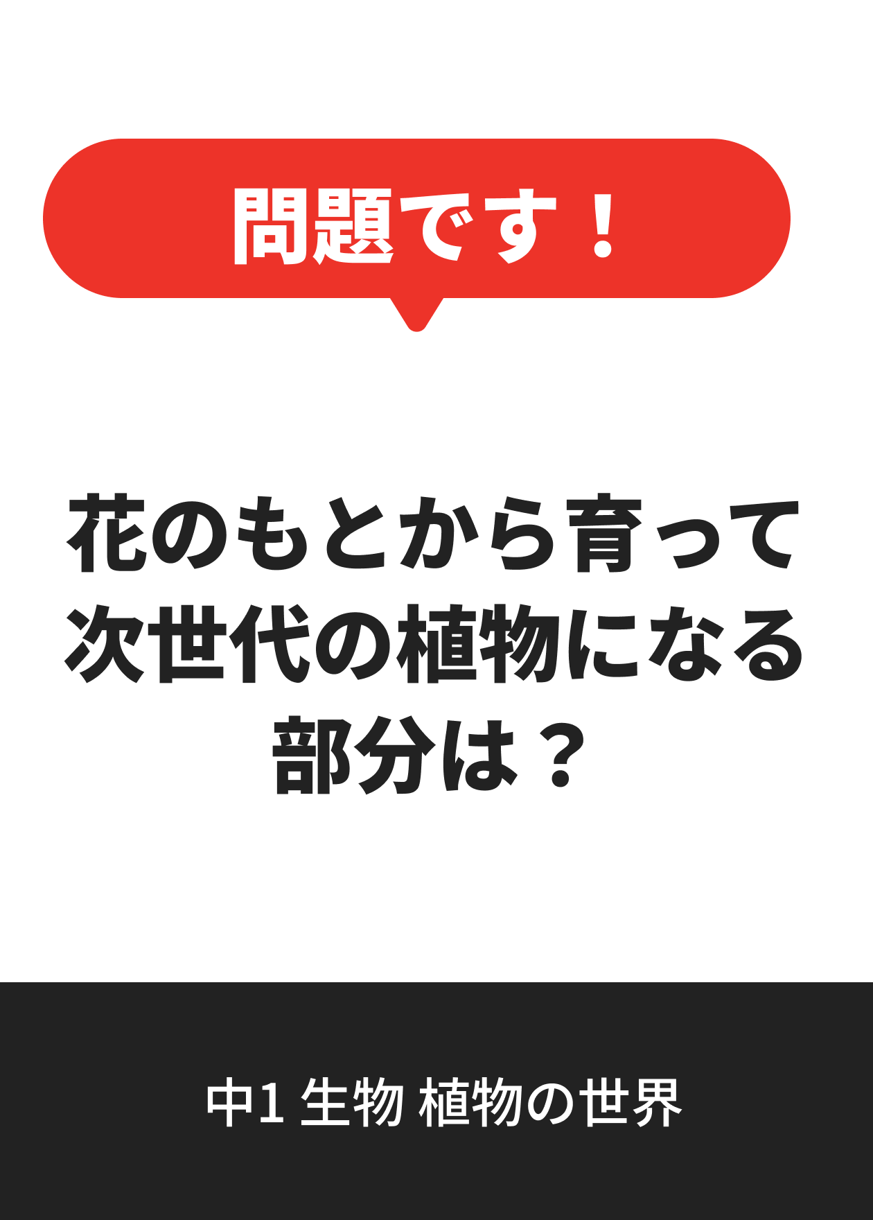 中1 生物 植物の世界