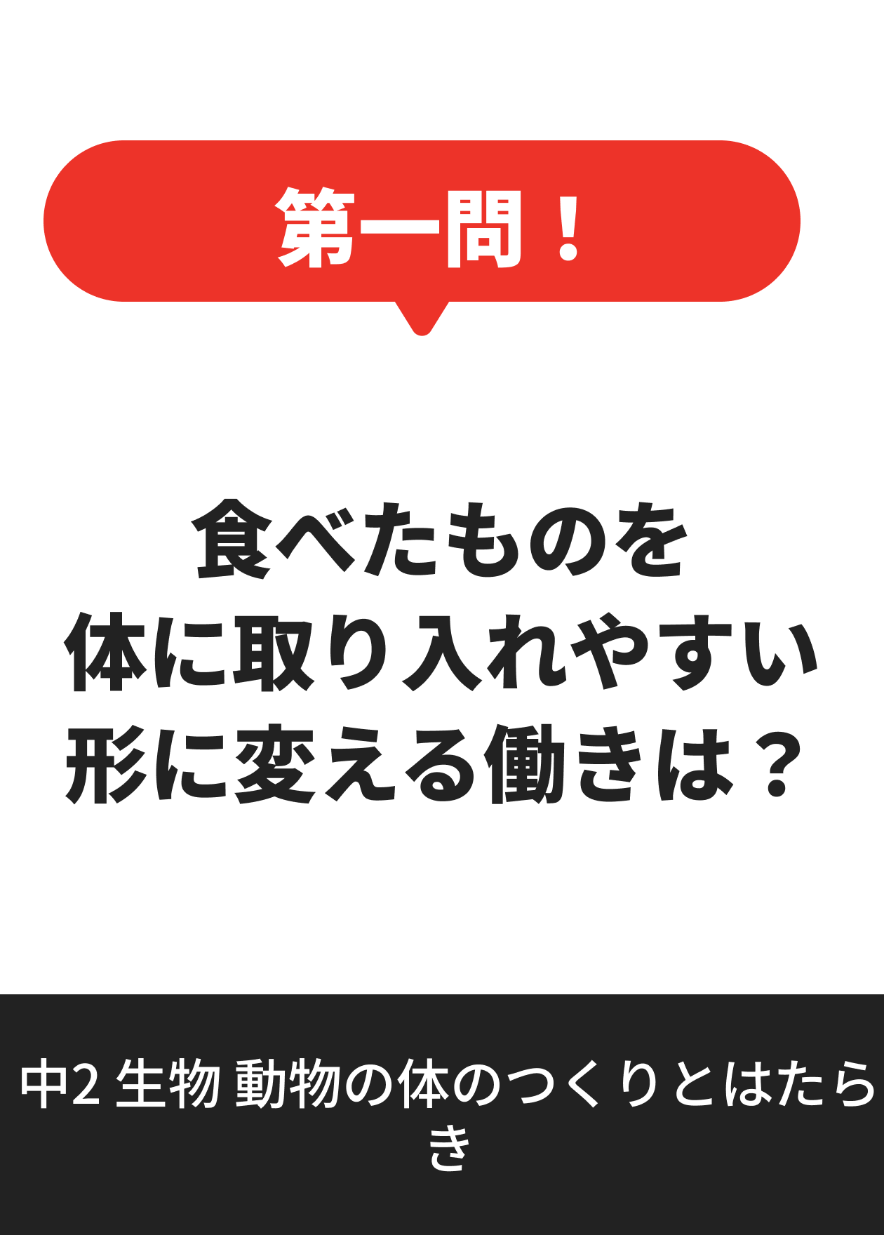 中2 生物 動物の体のつくりとはたらき